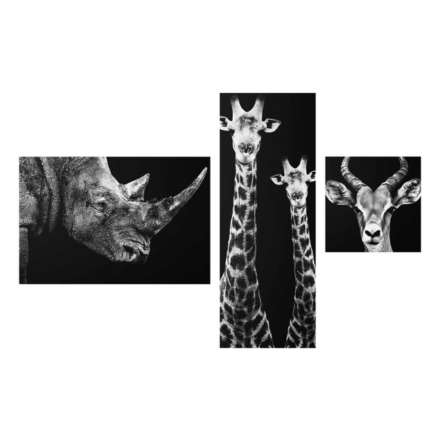 Wanddeko Büro Safari Trilogie I