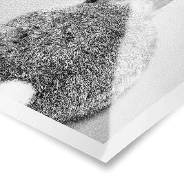 Wanddeko schwarz-weiß Hase von hinten Schwarz Weiß