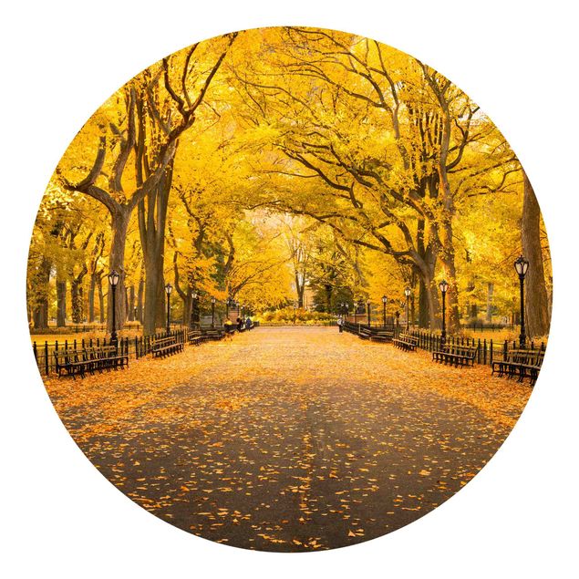 Wanddeko Büro Herbst im Central Park