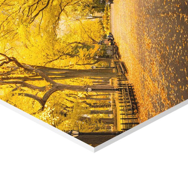 Wanddeko über Sofa Herbst im Central Park