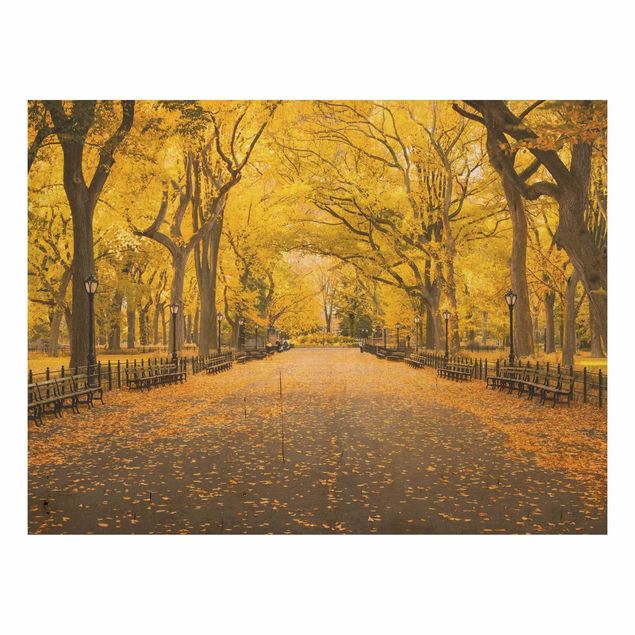 Wanddeko Flur Herbst im Central Park