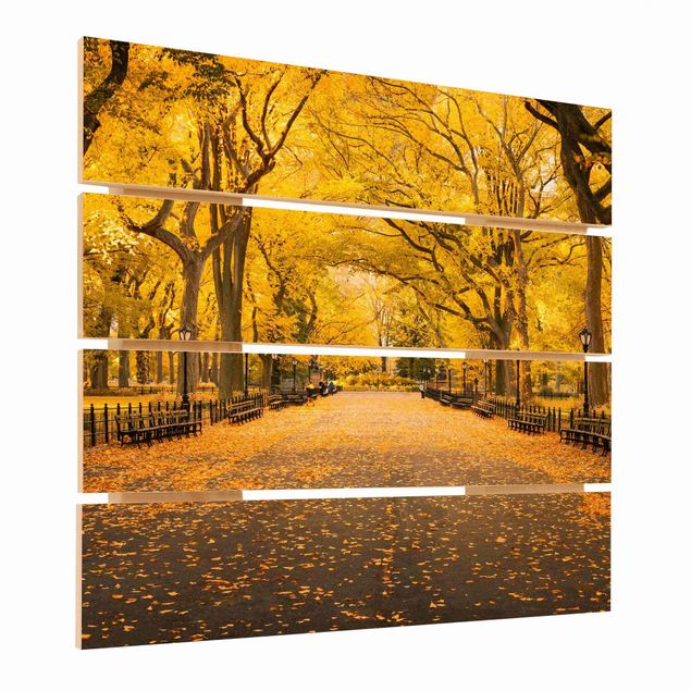 Wanddeko orange Herbst im Central Park