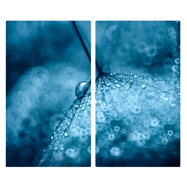 Wohndeko Fotografie Blaue Pusteblume im Regen