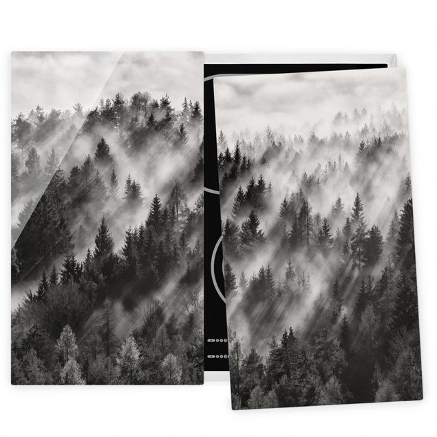 Wanddeko schwarz-weiß Lichtstrahlen im Nadelwald