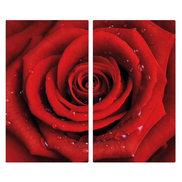 Herdabdeckplatten Blumen Rote Rose mit Wassertropfen