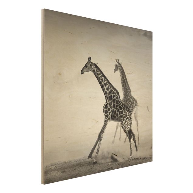 Wanddeko Afrika Giraffenjagd