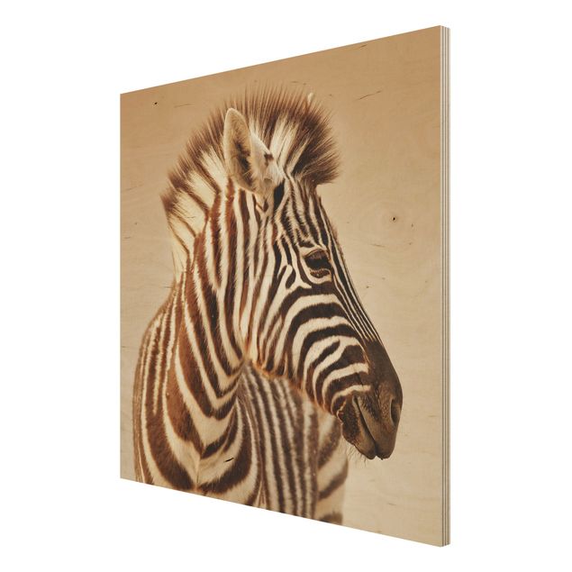 Wanddeko Tiere Zebra Baby Portrait
