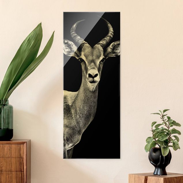 Wanddeko Flur Impala Antilope schwarz-weiß
