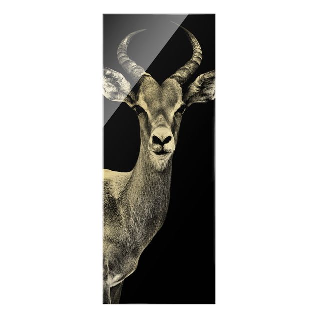 Wanddeko Treppenhaus Impala Antilope schwarz-weiß