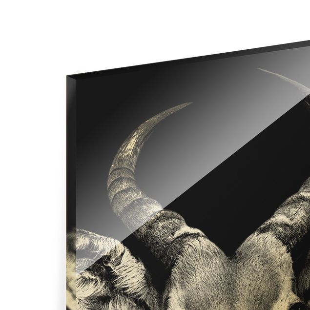Wanddeko über Sofa Impala Antilope schwarz-weiß