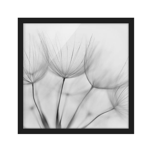 Wanddeko Esszimmer In einer Pusteblume Schwarz-Weiß