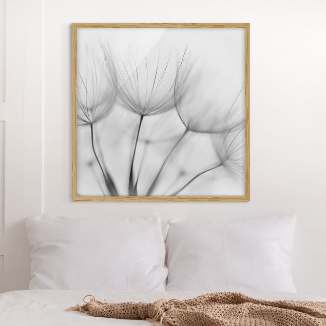 Wanddeko Wohnzimmer In einer Pusteblume Schwarz-Weiß