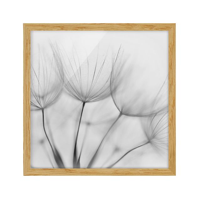 Wanddeko Esszimmer In einer Pusteblume Schwarz-Weiß