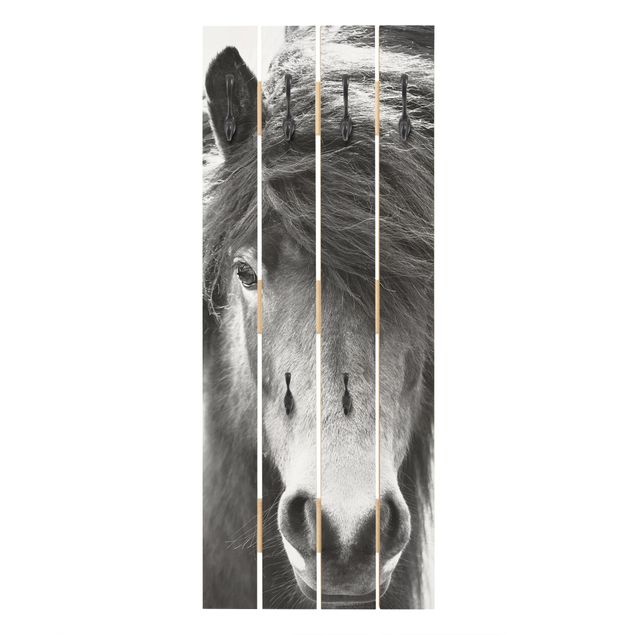 Wohndeko Fotografie Island Pferd in Schwarz-weiß