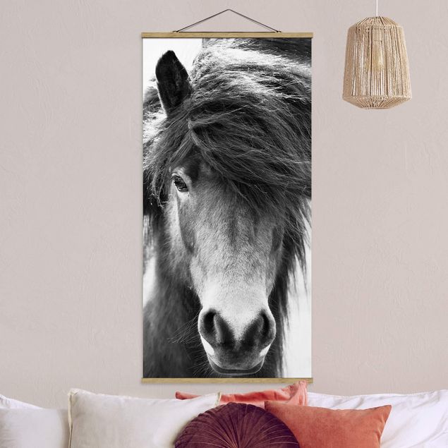 Wanddeko Wohnzimmer Island Pferd in Schwarz-weiß