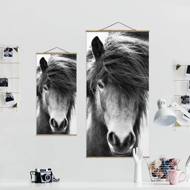 Wandbilder Pferde Island Pferd in Schwarz-weiß