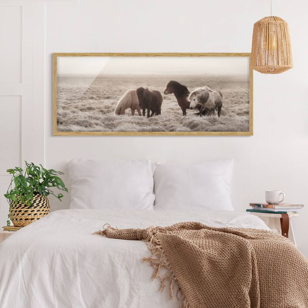 Wanddeko Schlafzimmer Island Wildpferde