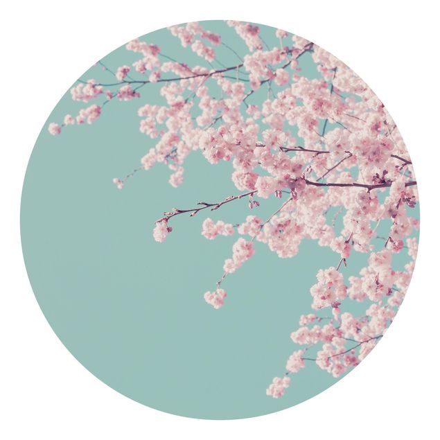 Wanddeko Esszimmer Japanische Kirschblüte