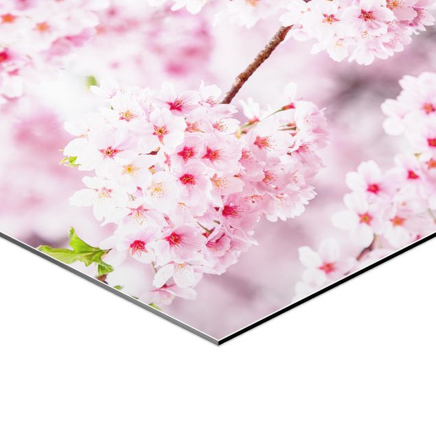 Wanddeko rosa Japanische Kirschblüten