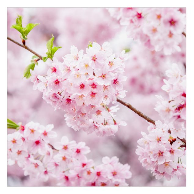 Wanddeko Praxis Japanische Kirschblüten