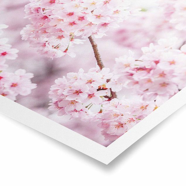 Deko Kirschblüte Japanische Kirschblüten