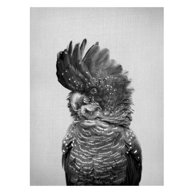 Leinwandbild Vögel Kakadu Kanye Schwarz Weiß