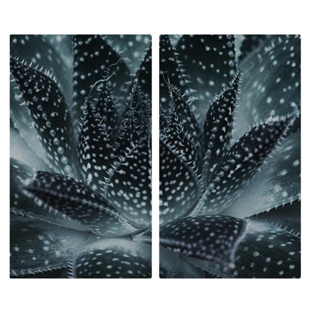 Wanddeko Fotografie Kaktus mit Sternpunkten bei Nacht