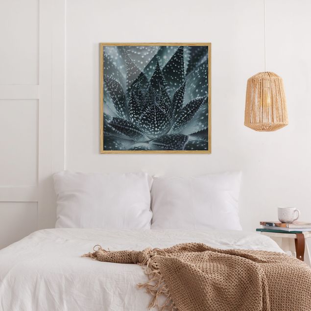 Wanddeko Schlafzimmer Kaktus mit Sternpunkten bei Nacht