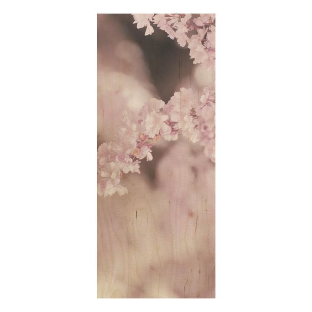 Wanddeko Schlafzimmer Kirschblüte im Violetten Licht