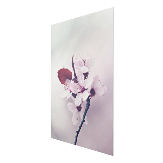 Wanddeko Esszimmer Kirschblütenzweig Altrosa