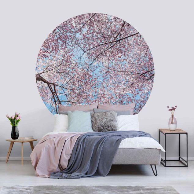 Wanddeko Esszimmer Kirschblütenzweige vor blauem Himmel