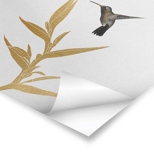 Kolibri und tropische goldene Blüte II Poster als Quadrat | Poster  bestellen bei WALLART