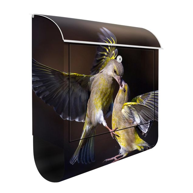 Wanddeko gelb Küssende Kolibris