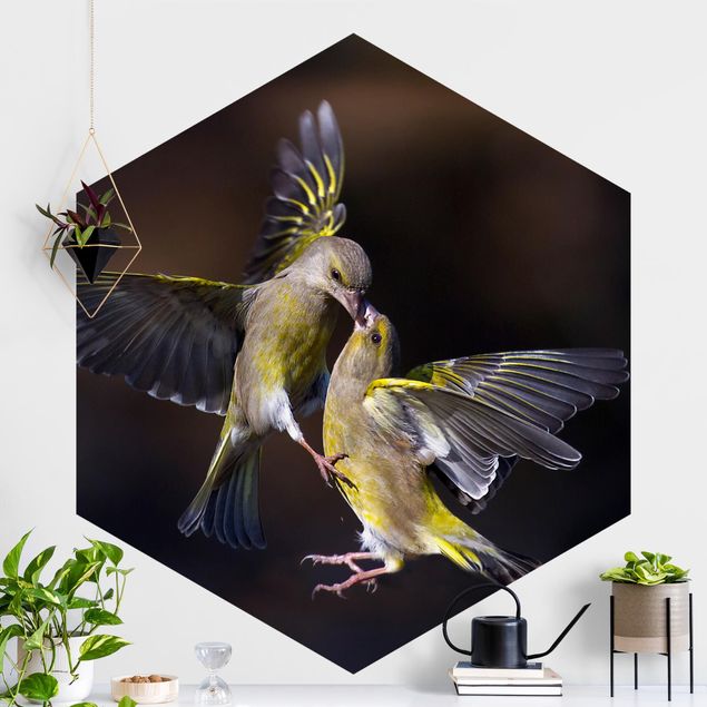 Wanddeko Schlafzimmer Küssende Kolibris