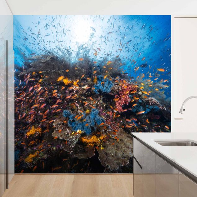 Wanddeko Schlafzimmer Lagune mit Fischen