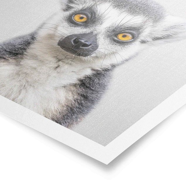Wanddeko über Sofa Lemur Ludwig