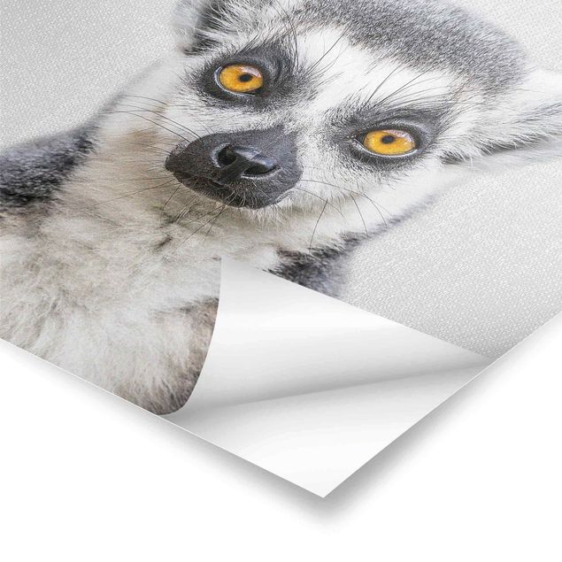 Wanddeko schwarz-weiß Lemur Ludwig