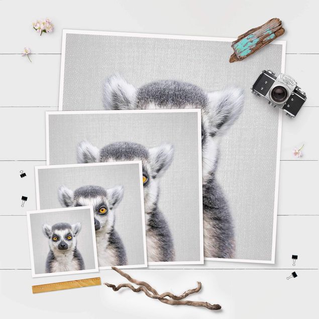 Wanddeko Praxis Lemur Ludwig