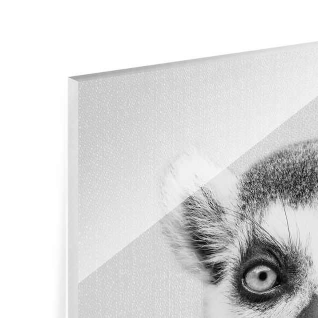 Wanddeko schwarz-weiß Lemur Ludwig Schwarz Weiß