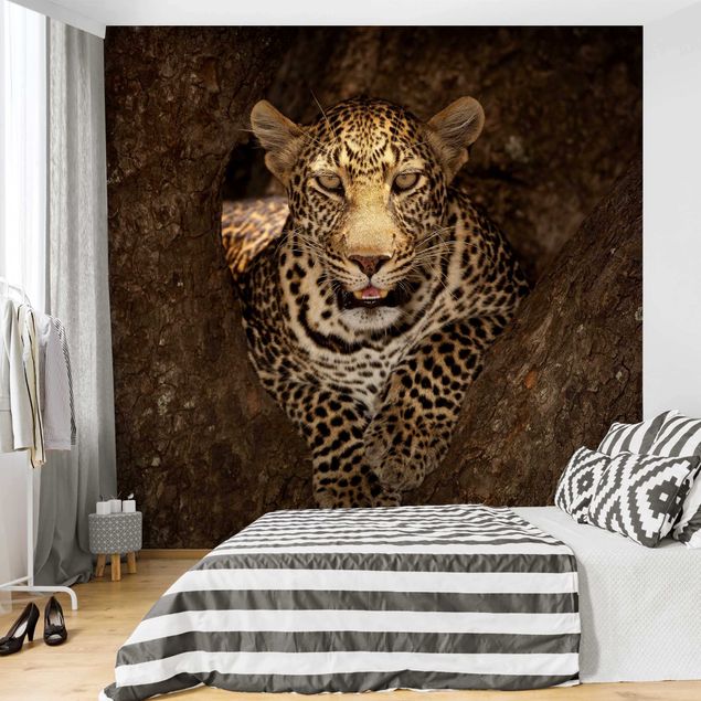 Wanddeko Wohnzimmer Leopard ruht auf einem Baum