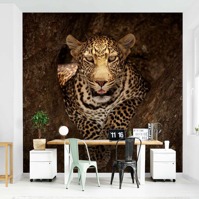 Wanddeko Schlafzimmer Leopard ruht auf einem Baum