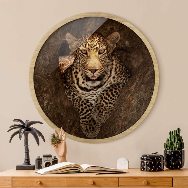 Wanddeko Wohnzimmer Leopard ruht auf einem Baum