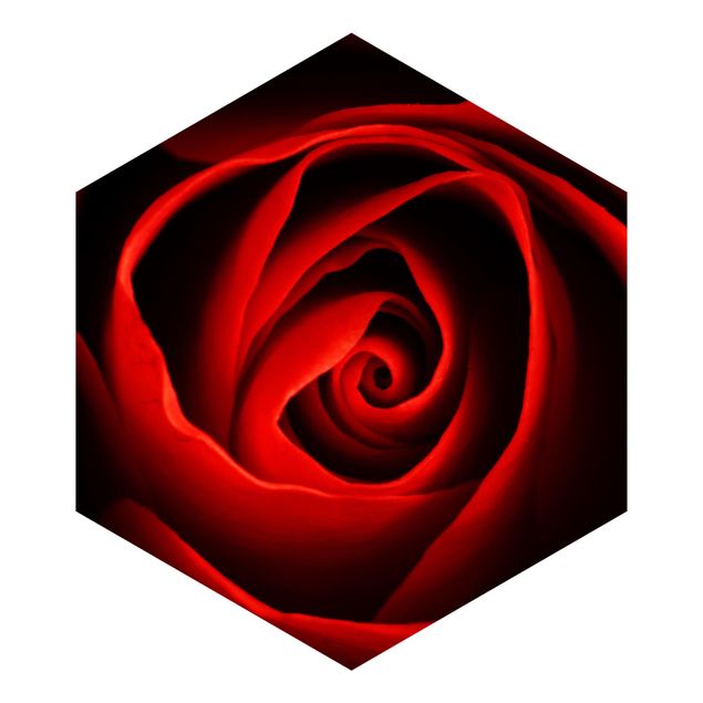 Wanddeko Esszimmer Liebliche Rose