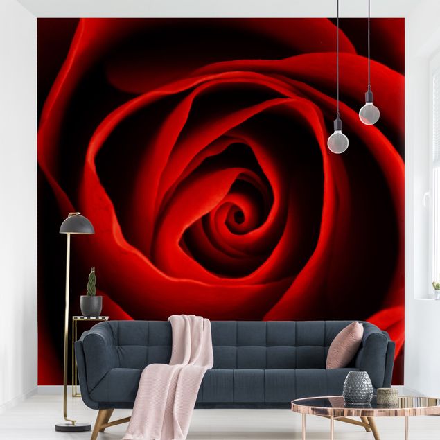 Wanddeko Küche Liebliche Rose
