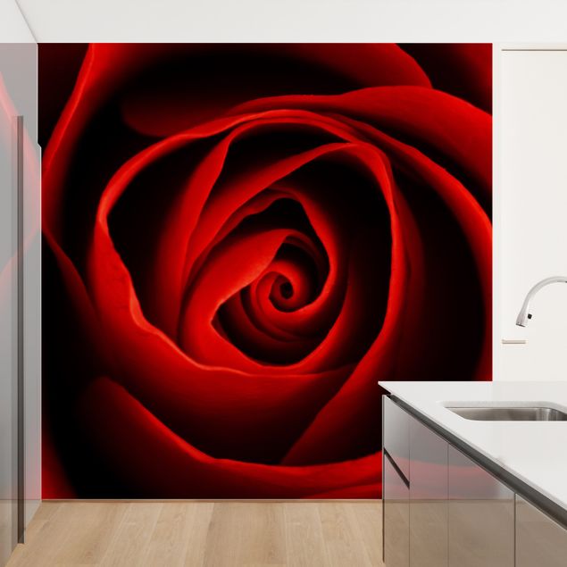 Wanddeko Wohnzimmer Liebliche Rose