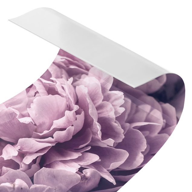 Wanddeko violett Lila Pfingstrosenblüten