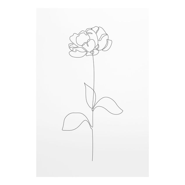 Wanddeko Praxis Line Art Blumen - Pfingstrose