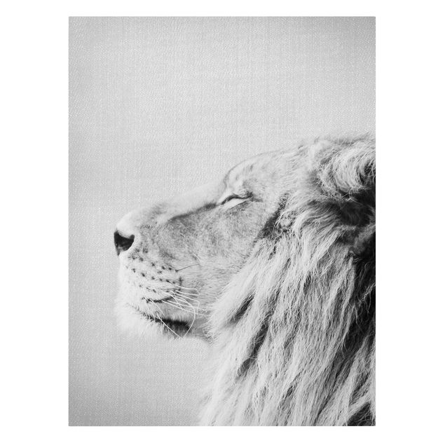 Katzenbilder auf Leinwand Löwe Leopold Schwarz Weiß