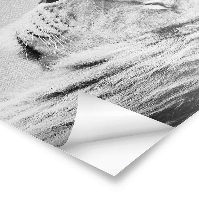 Wanddeko schwarz-weiß Löwe Leopold Schwarz Weiß