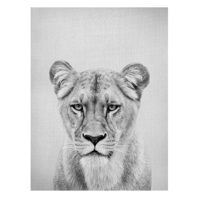 Katzenbilder auf Leinwand Löwin Lisa Schwarz Weiß